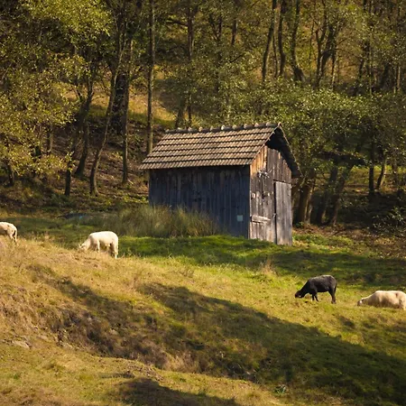 Chalet Lelu Spa&natura
