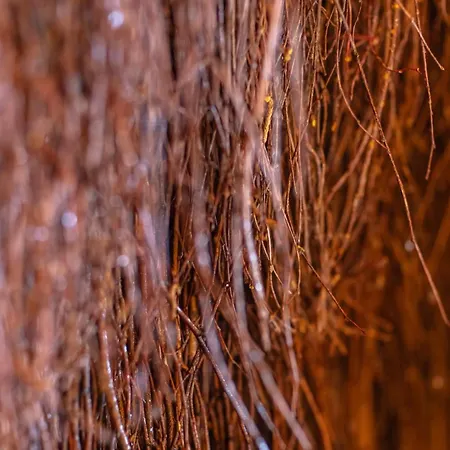 Lelu Spa&natura Chalet Muszyna