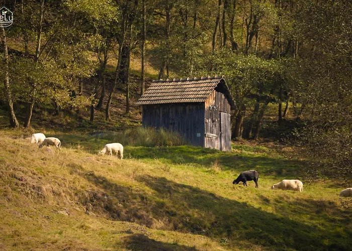 木屋 Lelu Spa&natura