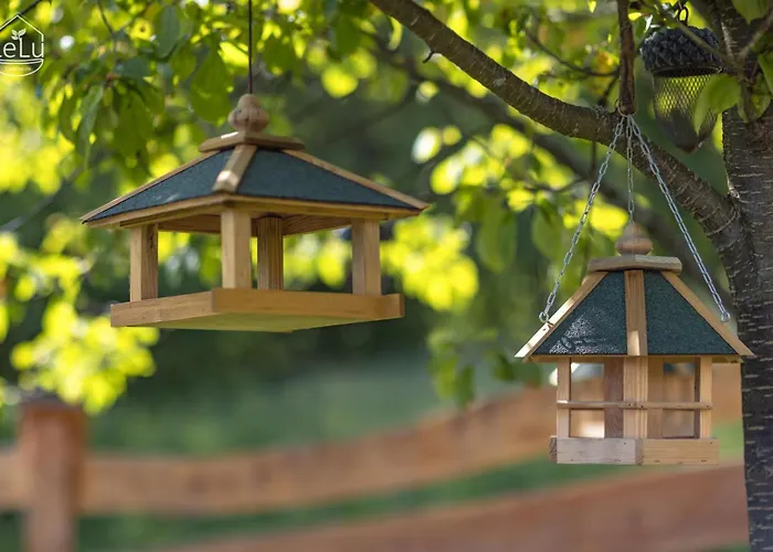 Lelu Spa&natura 木屋