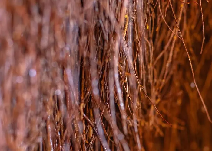 Lelu Spa&natura 木屋 穆希纳